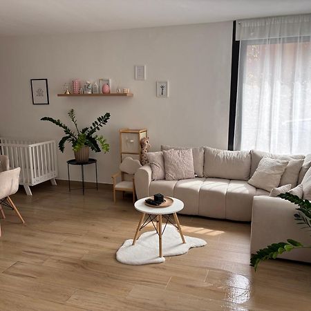 Modern Lux Home Σέγκεντ Εξωτερικό φωτογραφία