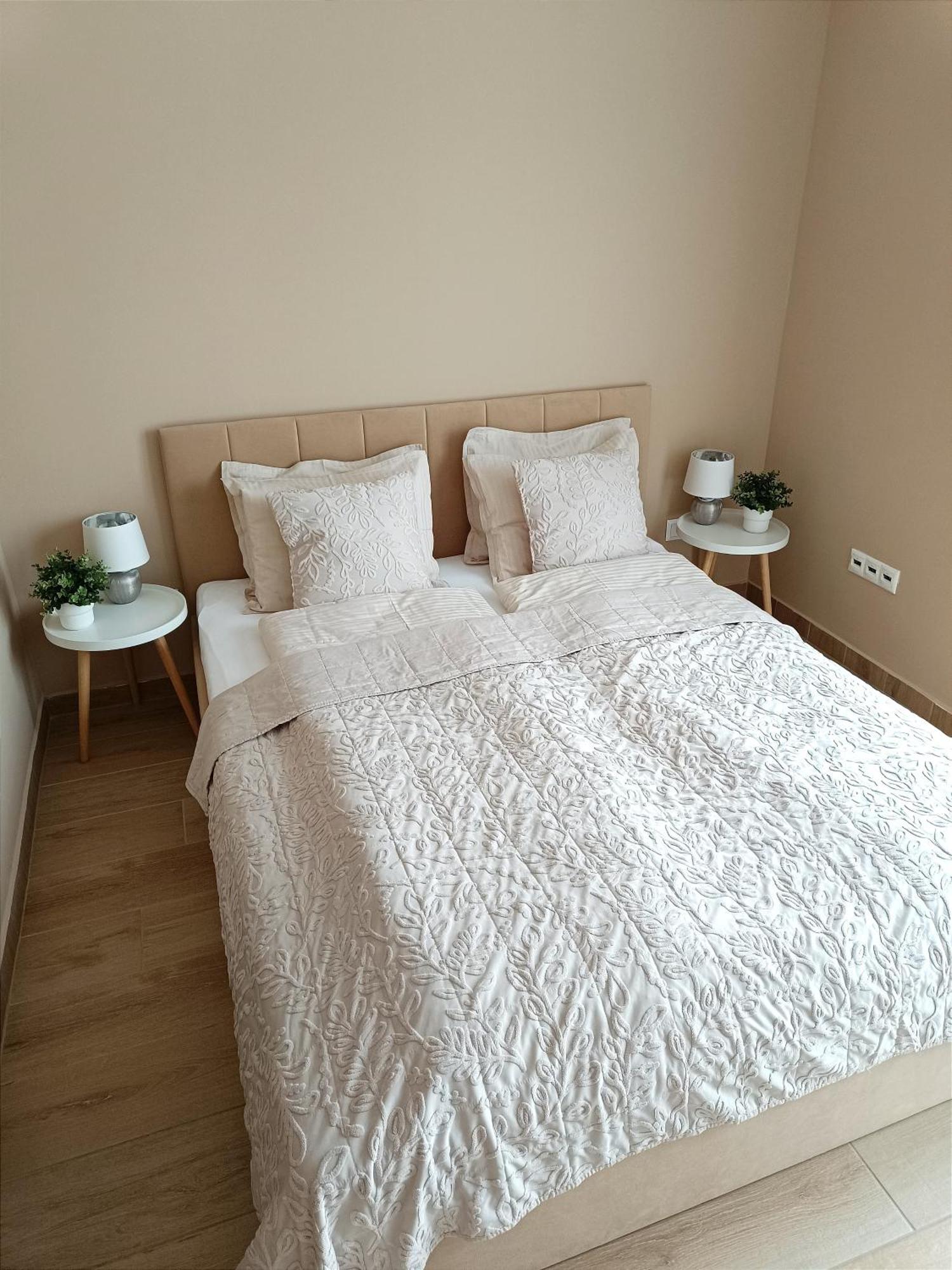 Modern Lux Home Σέγκεντ Εξωτερικό φωτογραφία